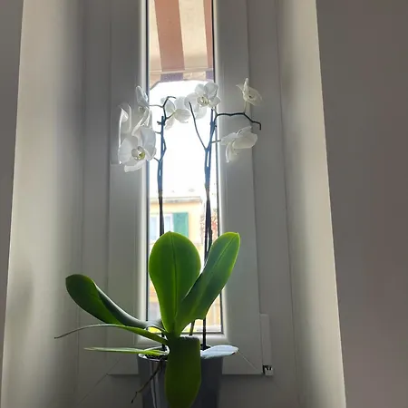 Casa Ideale Apartment *